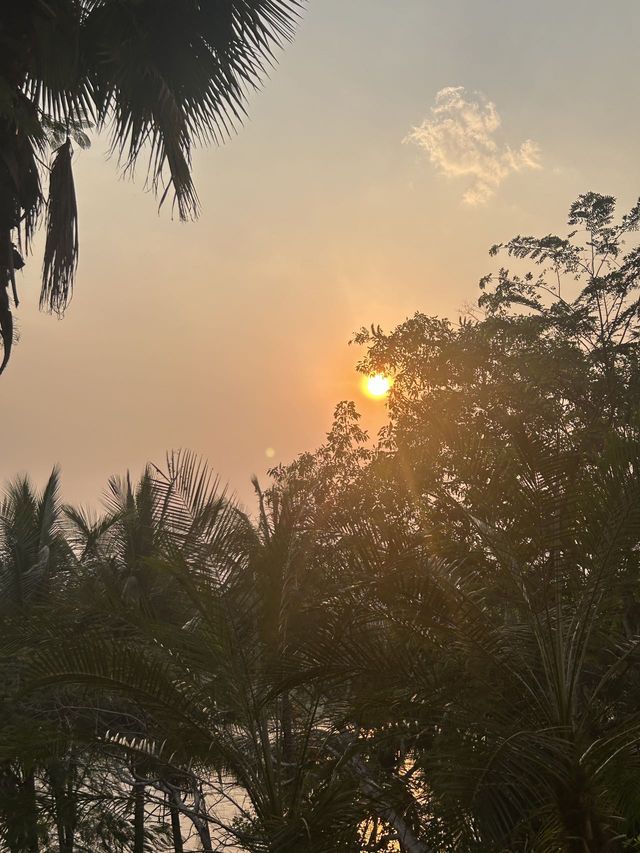 來西雙版納不住進瀾滄江畔雨林裡算白來了~