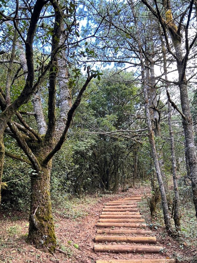 嵩明大尖山