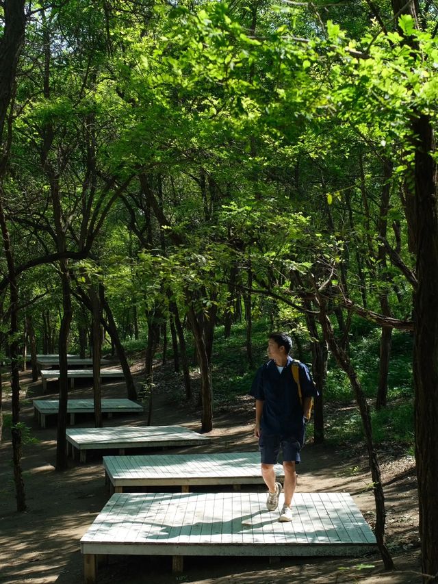 鄭州千畝森林下的兒童遊樂園真的太太好玩了。