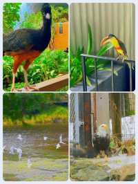 阿拉斯加野生動物園：原始生態的樂園。