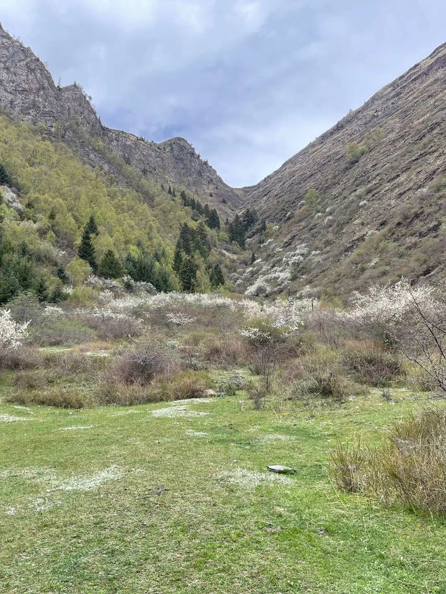 隴南-甘南-天水秋日遊 這樣玩才不留遺憾。