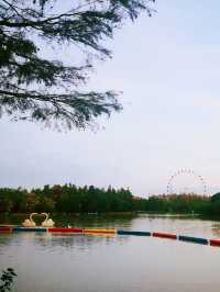 上海野生動物園天鵝湖也很美。