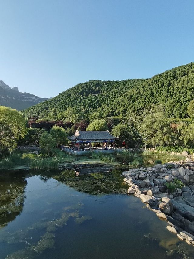 冬天遊山東曲阜-泰山-濟南 看這一篇就夠了