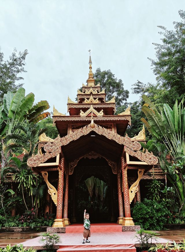 在版納！一天玩遍曼聽公園和總佛寺！附攻略