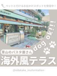 【青山】愛犬と行けるおしゃれパスタ🍝