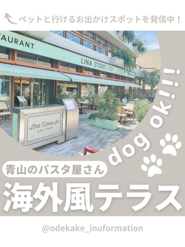 【青山】愛犬と行けるおしゃれパスタ🍝