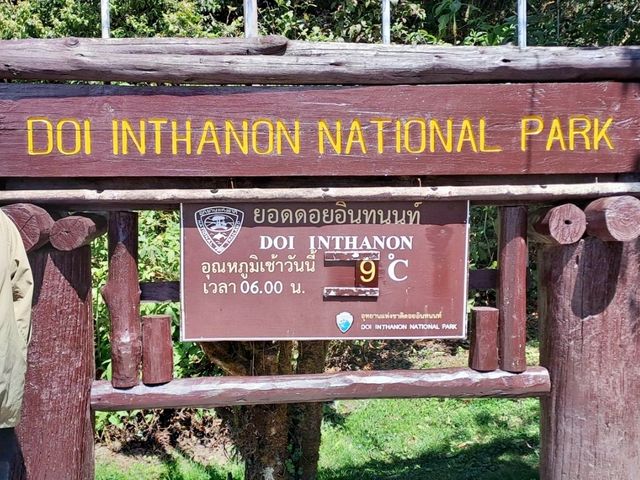 🍃 Nature Trail at Doi Inthanon Chiang Mai🚶‍♀️