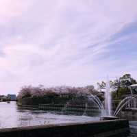 【京都🇯🇵】お花見&美術館でにこにこ散歩🌸🌼