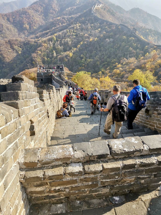 Discovering the Mutianyu Great Wall with a Local Guide: A Journey Through Time and Scenic Beauty