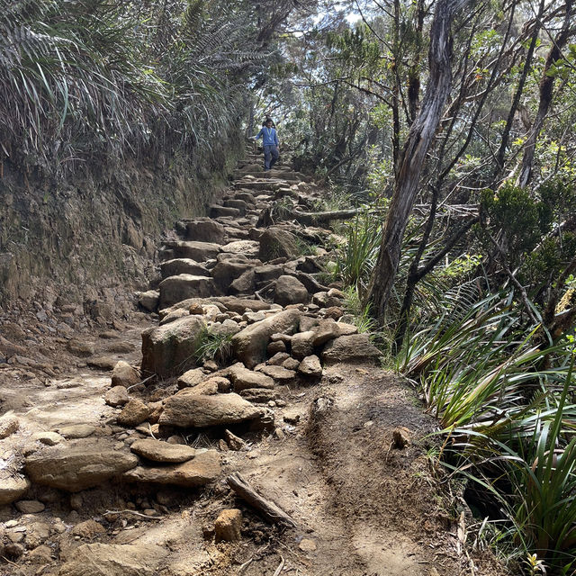 Mount Kinabalu - Heaven on Earth ; the best view comes after the hardest climb