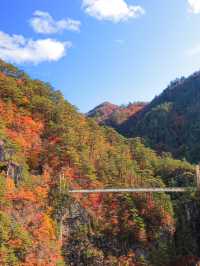 【栃木】自然の彩りの癒し旅