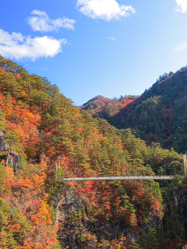 【栃木】自然の彩りの癒し旅