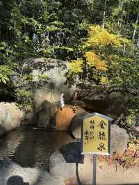 Serenity and History at Ikuta Jinja in Kobe