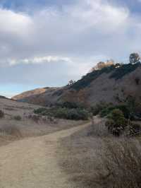 Gorgeous Fall colors in Winter on the Lopez Canyon Trail