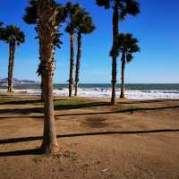 Málaga Shores: A Beach Lover's Guide