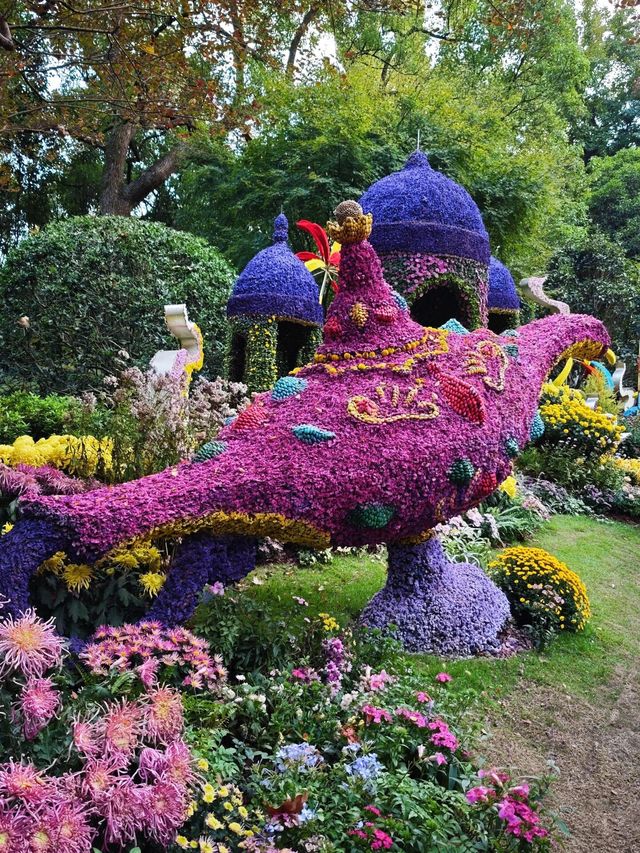 杭州植物園菊花展超級好看。