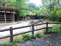 Higashiyama Zoo and Botanical Garden Travel Guide