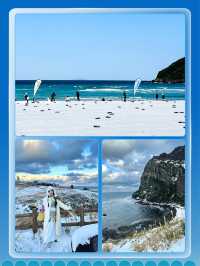 Jeju Island Roaming丨The scenery is too stunning to miss.