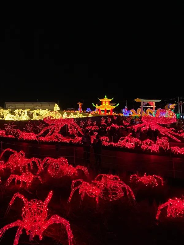 Experience the Magic of ILLUMI Light Show This Year