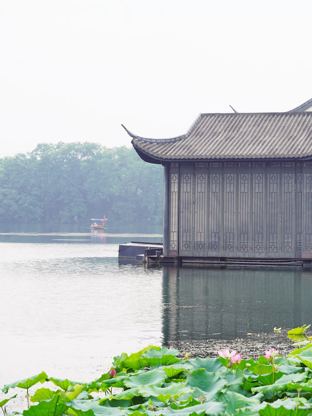 反向旅遊｜這個冬天就去打卡杭州吧，很美的～