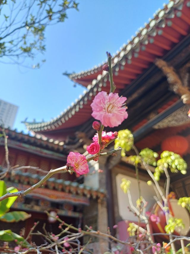 江南風韻的昆明鹽隆祠