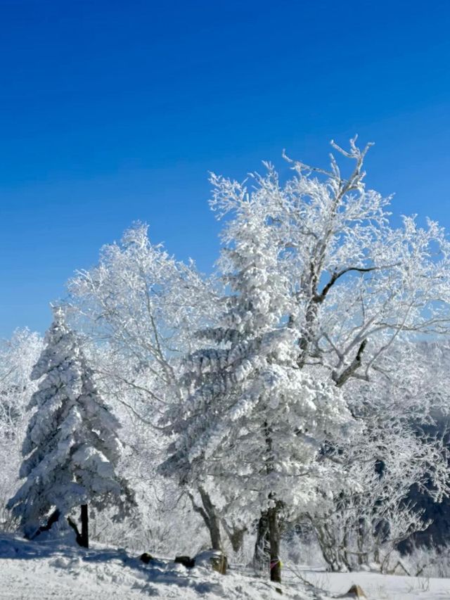 帶娃來冰雪大世界了，凍哭了