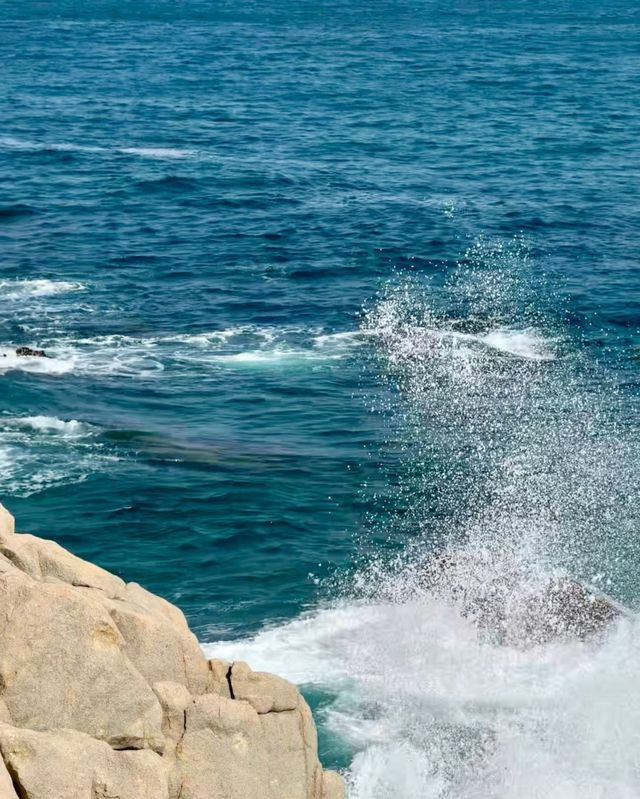 鮮花配上浪花是屬於塔門島的浪漫