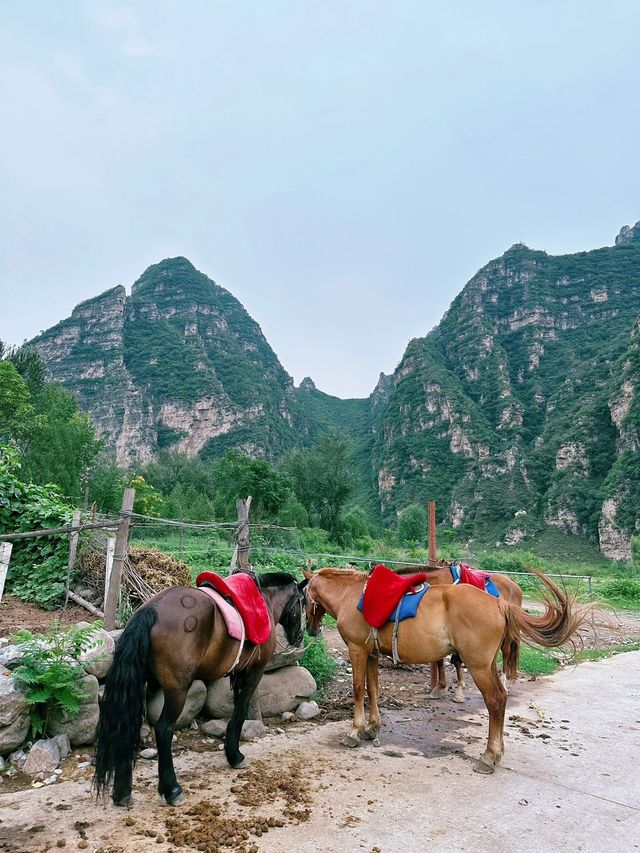 過年不宅家鄭州-焦作-雲台山2日遊攻略來啦