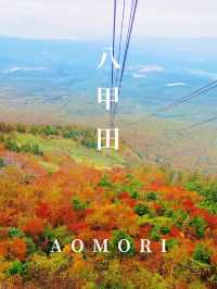 【秋の絶景】紅葉が美しい八甲田ロープウェー🚠⛰🍁