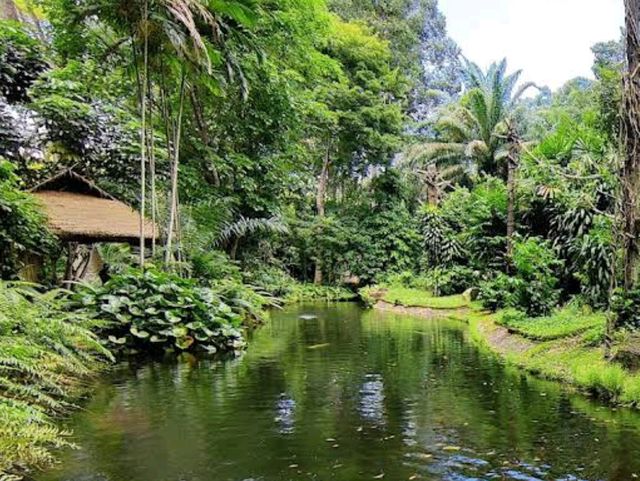 🐾 Explore the Wild Wonders of Singapore Zoo! 🌿