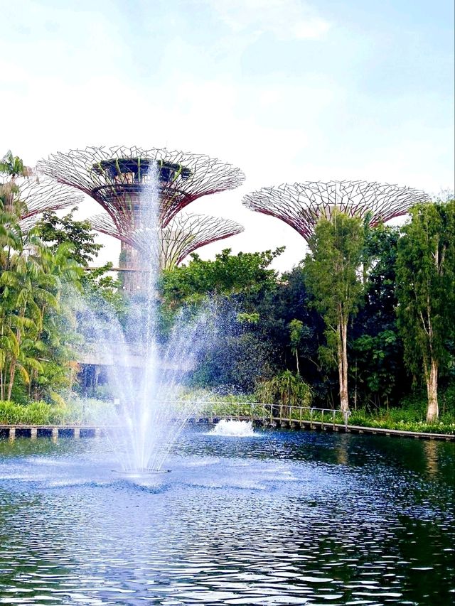 Exploring the Enchantment of Gardens by the Bay