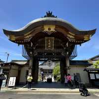 ทาคายาม่า(Takayama) 