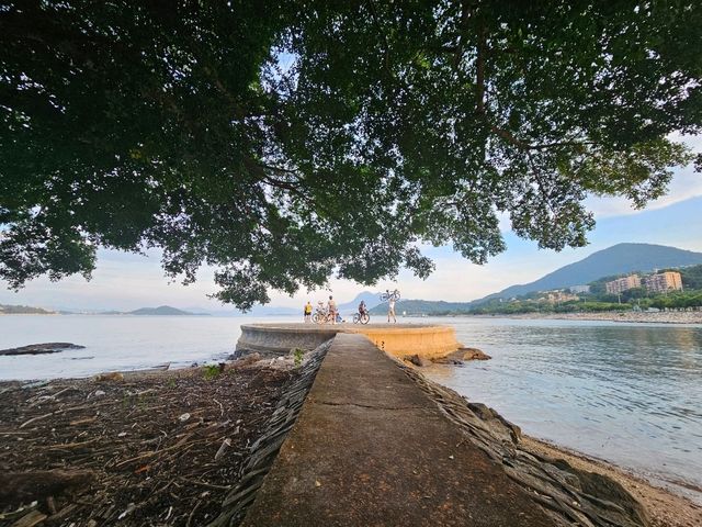 大埔區的隱世美麗公園