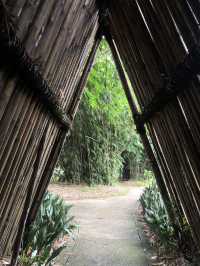 Magical Bogor Botanical Gardens