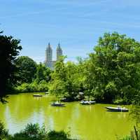 Summer at Central Park, New York 💚