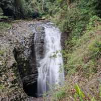 Marvel at the Natural Bridge in Springbrook National Park