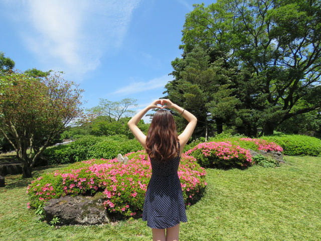 🇰🇷 濟州島三大最美綠色景點🌳💚