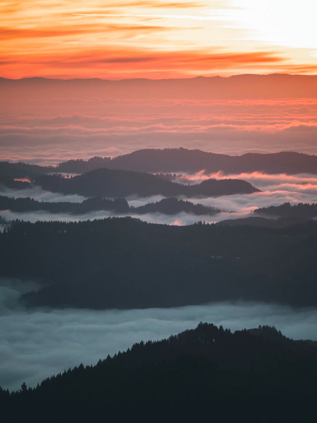 Into the Woods: A Hike Through Germany’s Black Forest