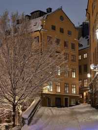 Stockholm’s Snow Globe Christmas: A Winter Wonderland