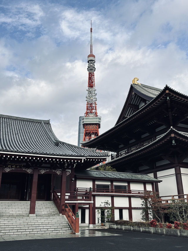 🇯🇵 Tokyo, Japan’s bustling capital