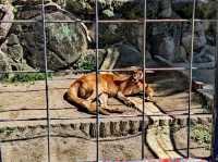 福岡動物園