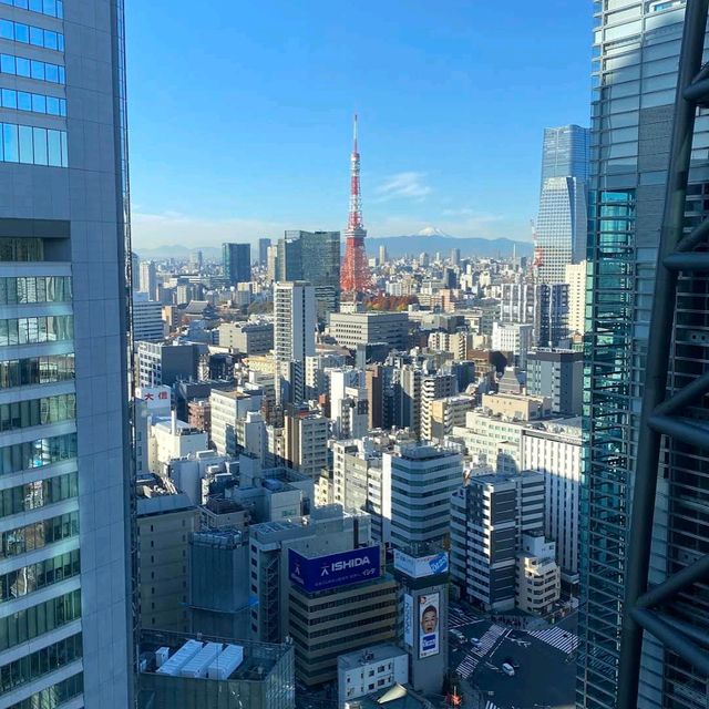 The Royal Park Hotel Iconic Tokyo Shiodome