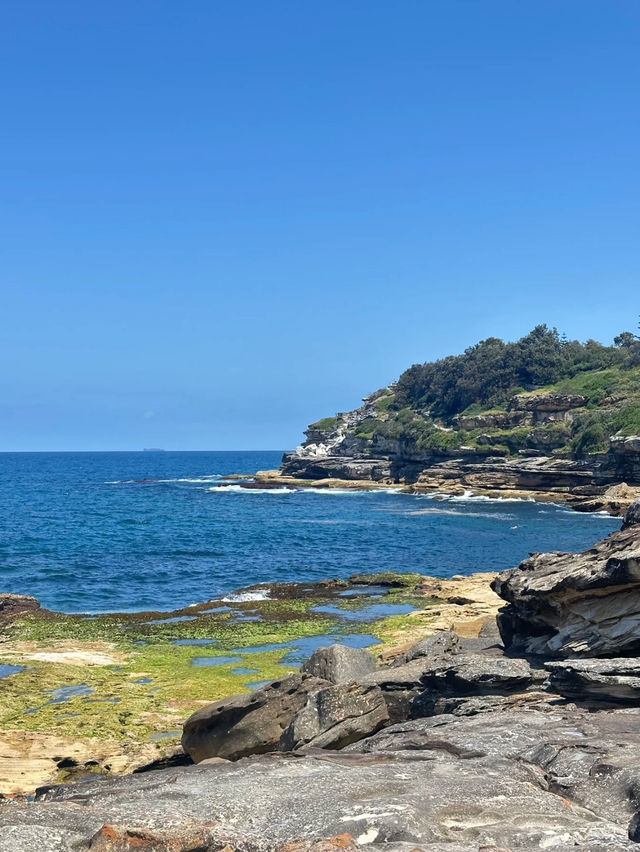 A fantastic day at beach 🏝️ 