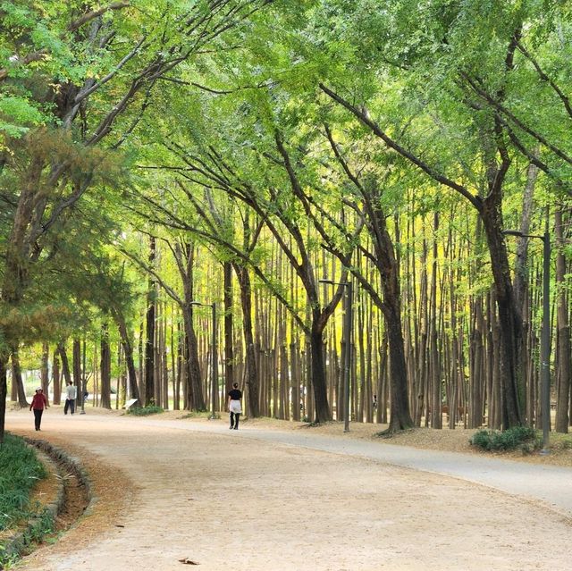 Seoul Forest Park