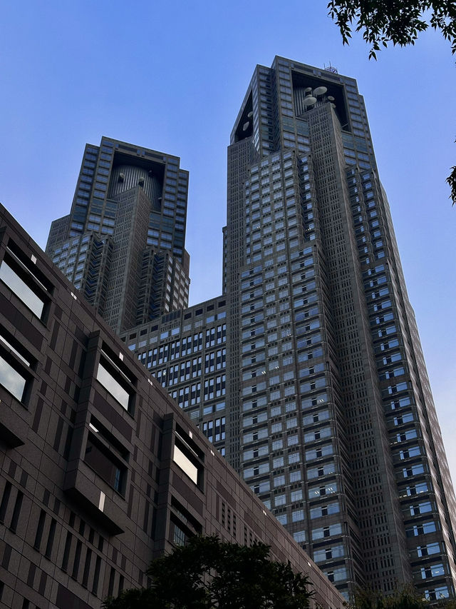 Sky-High Views at Tokyo Metropolitan Government Building Observatory