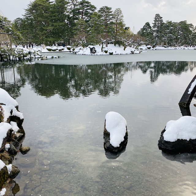 【金沢市🇯🇵兼六園】雪景色に包まれて☺️庭園散策