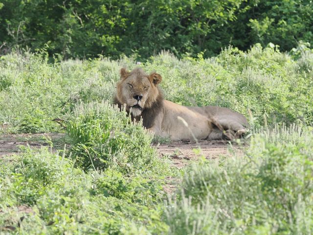 3-Days Queen Elizabeth National Park