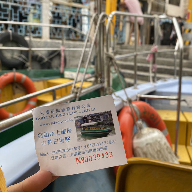 Tai O Boat Trip 🚤🇭🇰 Watch the Chinese Pink Dolphin! 🐬💓