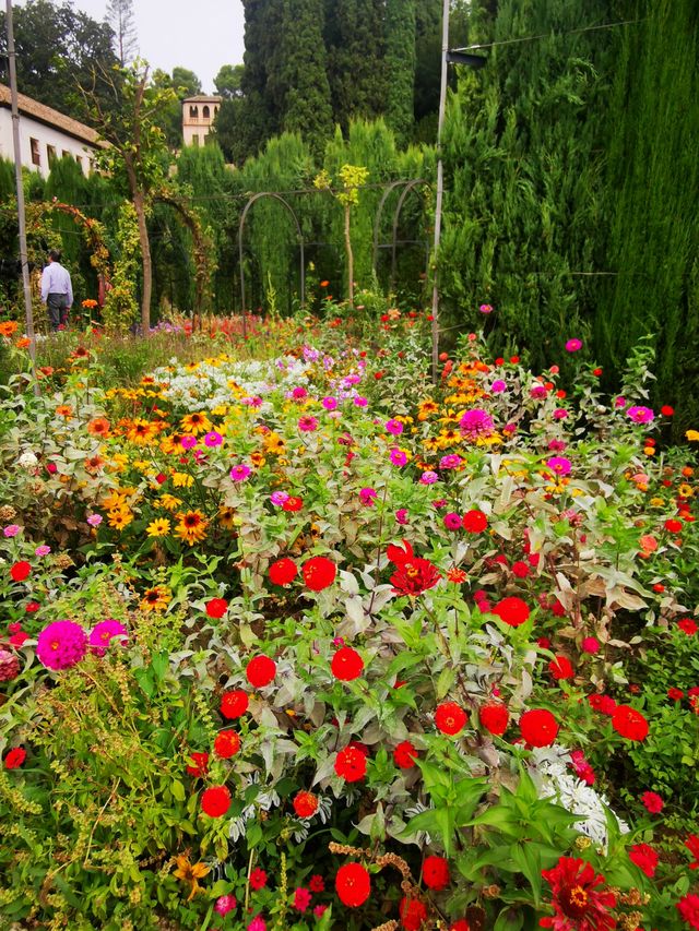 阿爾罕布拉宮花園：美不勝收。