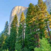 Yosemite National Park Natural scenarios With  fantastic Beauty of place 